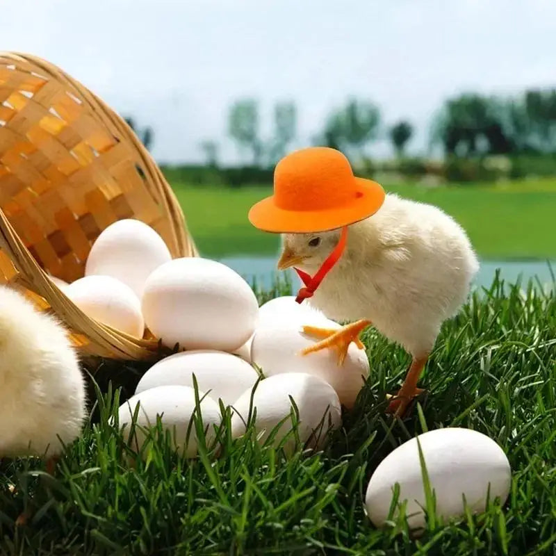 Hat For Hens Tiny Pets Chicken Household Pets Head Decor Chicken Hen Top Hat For Rooster Duck Parrot Hamster Poultry