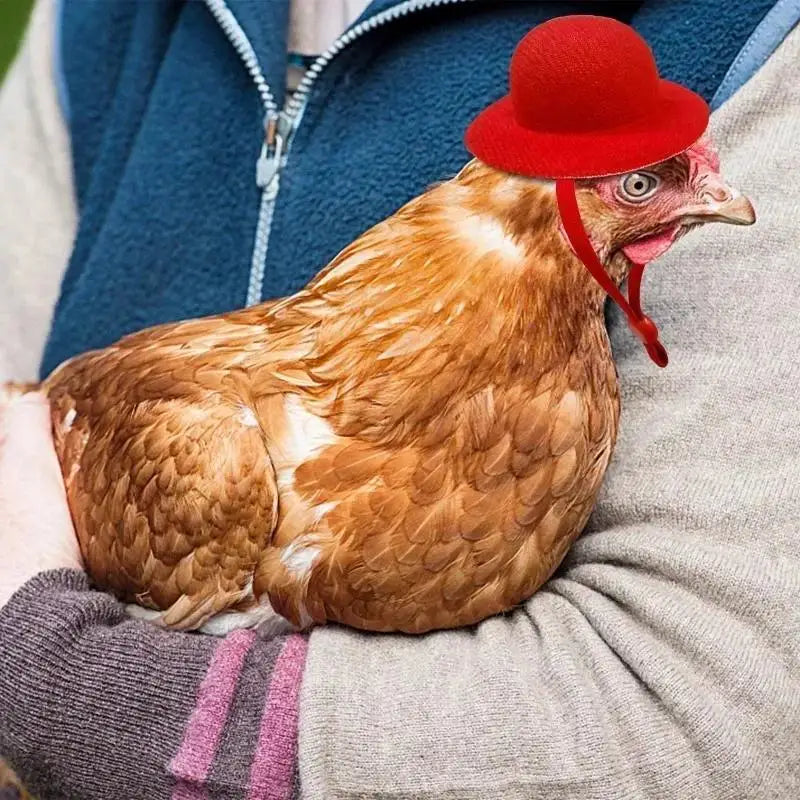 Hat For Hens Tiny Pets Chicken Household Pets Head Decor Chicken Hen Top Hat For Rooster Duck Parrot Hamster Poultry