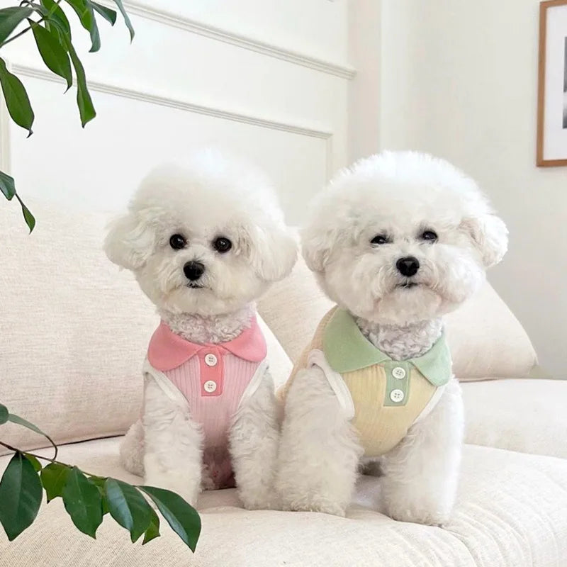 Summer Pet T-shirt Breathable Thin Lapel Dog Vest for Small Medium Dogs Cats Casual Pet Clothes Chihuahua Bichon Teddy Costume