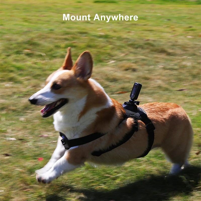 SJCAM C100 Plus Action Camera 4K 30M à prova d'água 2.4G WiFi Action Sport action cam EIS capacete de bicicleta motocicletas