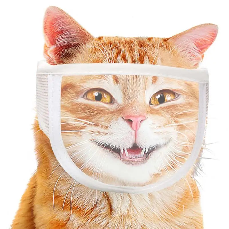 Cat Muzzle Anti Bite Cat Face Protection For Nail Trimming Transparent Kitten Mouth Guard Helmet For Puppy Small Animal