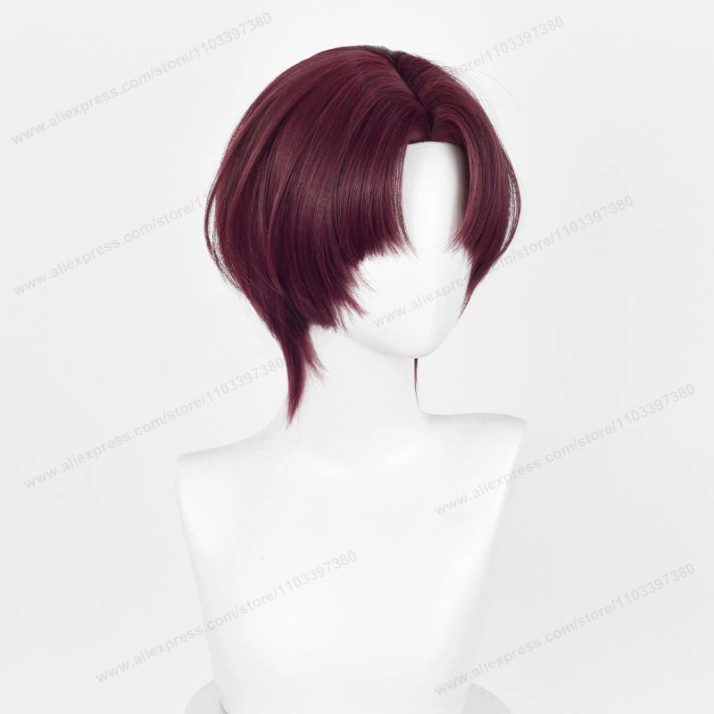 Anime Wind  Breaker Hayato Suo Cosplay Wig 32cm Short Deep Reddish Brown Hair Heat Resistant Synthetic Wigs