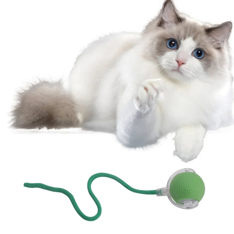 Interactive Cat Toys Ball Auto Electric Rolling Ball Toys for Cats/Kitty Pets Smart Automatic Teaser USB Rechargeable