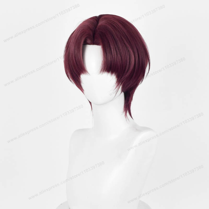 Anime Wind  Breaker Hayato Suo Cosplay Wig 32cm Short Deep Reddish Brown Hair Heat Resistant Synthetic Wigs