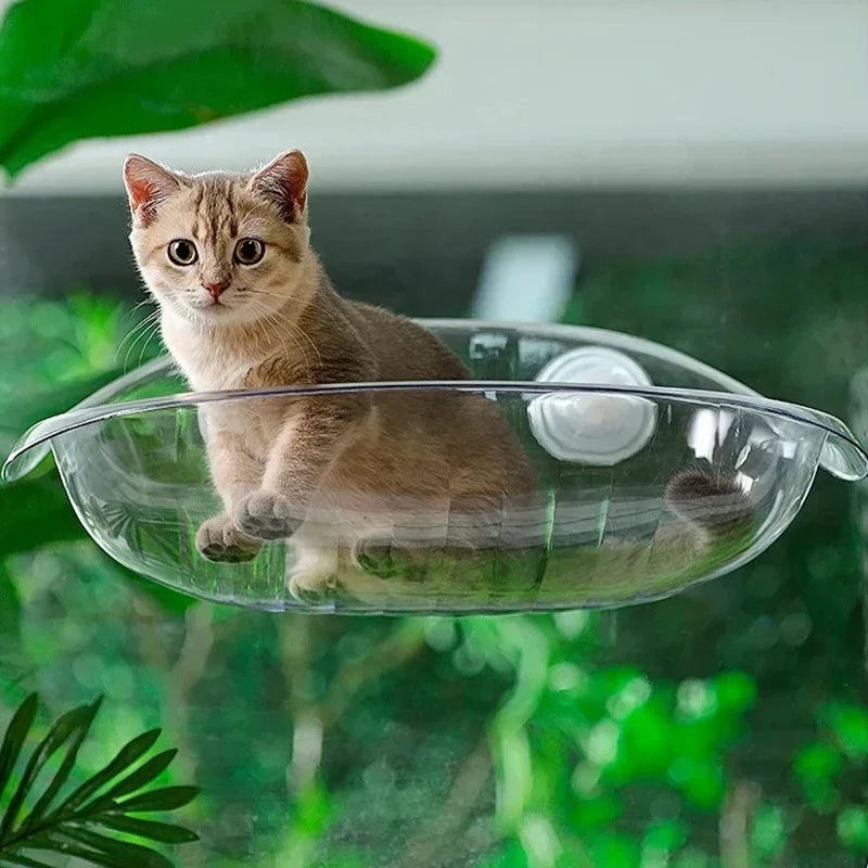 Window Bed for Cats Kitten Accessories Hammock Hanging Balcon Summer Beds Furniture Houses Hammack Pet Hammocks Pets House Cat