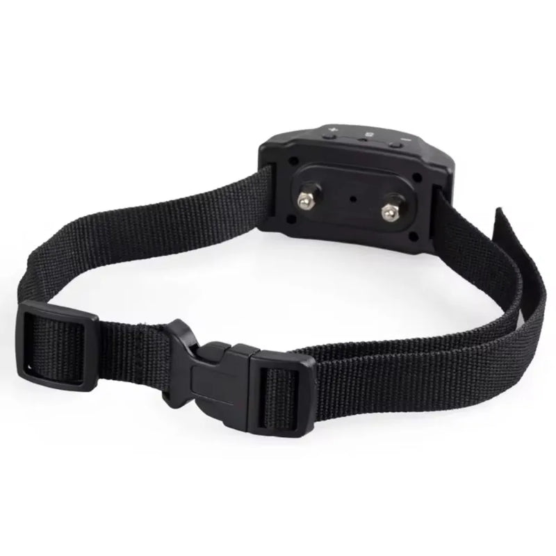 Coleira elétrica anti-aboiementa, treinamento para ambientes internos e externos, ferramenta de ensino de cães pequenos, sem latidos, 4lr44, 6v, tom de choque, novo