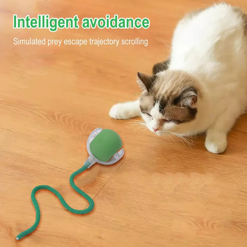 Interactive Cat Toys Ball Auto Electric Rolling Ball Toys for Cats/Kitty Pets Smart Automatic Teaser USB Rechargeable