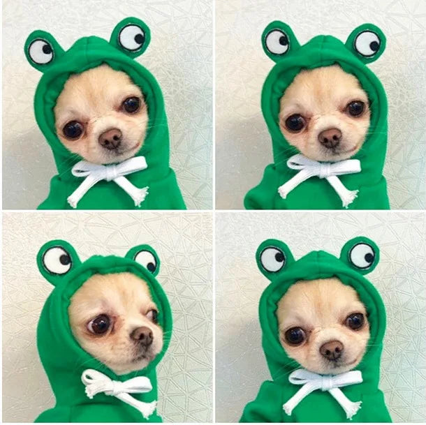 Dog Winter Warm Clothes Cute Plush Coat Hoodies Pet Costume Jacket For Puppy Cat French Bulldog Chihuahua Small Dog Clothing