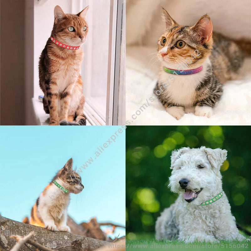 Shiny Rhinestone Pet Collar Safety Adjustable Cat Dog Collars With Bell Puppy Kitten Decoration Accessories Leather Flocking S