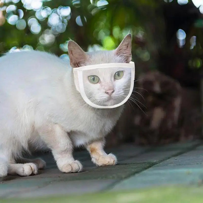Cat Muzzle Anti Bite Cat Face Protection For Nail Trimming Transparent Kitten Mouth Guard Helmet For Puppy Small Animal