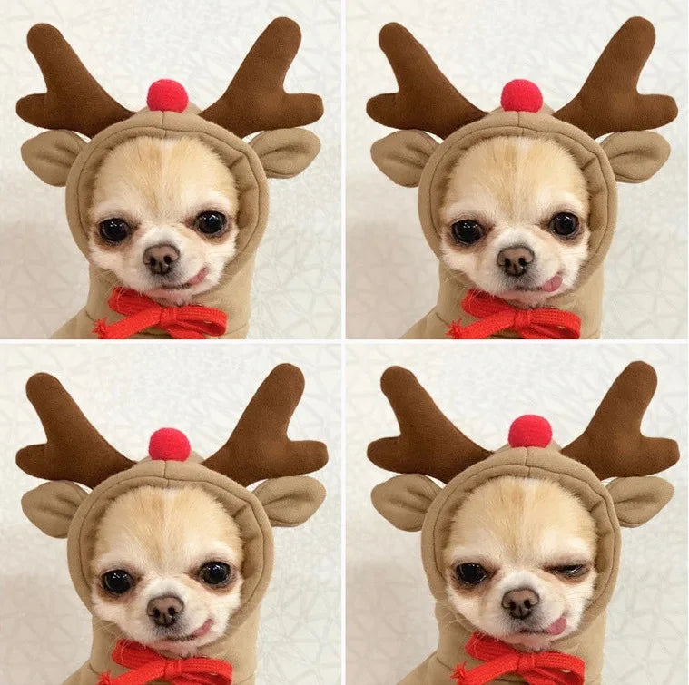 Dog Winter Warm Clothes Cute Plush Coat Hoodies Pet Costume Jacket For Puppy Cat French Bulldog Chihuahua Small Dog Clothing