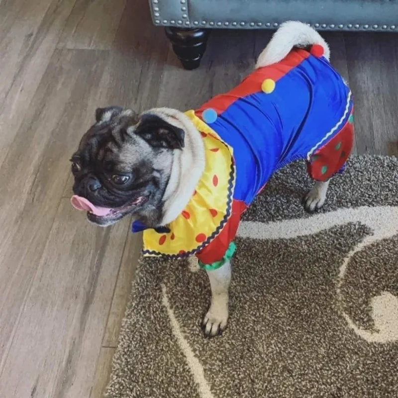 Pet Dog Clown Costume with Hat Halloween Cosplay Party Cat Clown Costume Funny Pet Circus Outfit Christmas Durable Dog Apparel