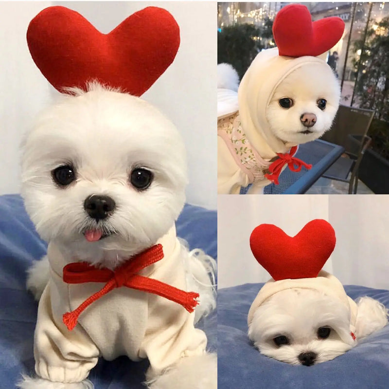 Dog Winter Warm Clothes Cute Plush Coat Hoodies Pet Costume Jacket For Puppy Cat French Bulldog Chihuahua Small Dog Clothing
