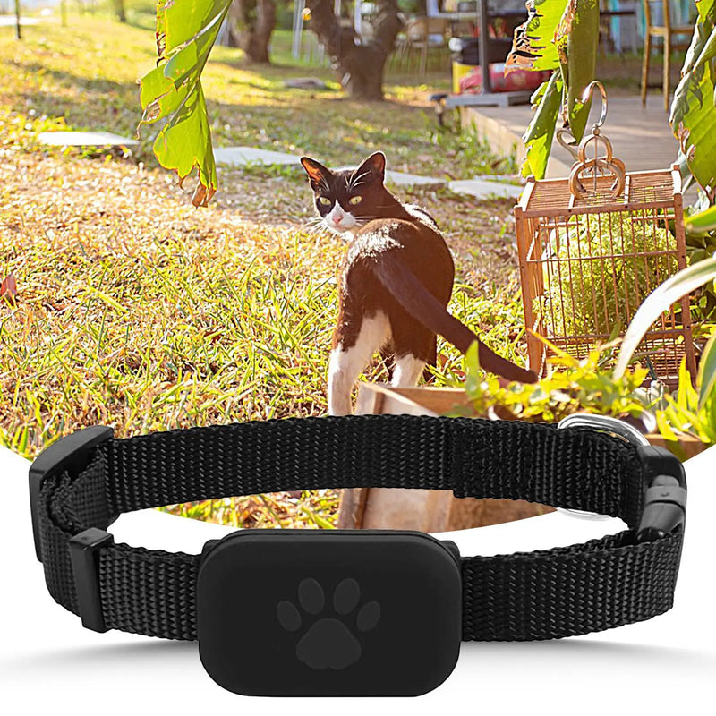 Gato gps gato colla proteção de segurança bateria de longa duração pet gato localização suprimentos para filhote de cachorro médio grande
