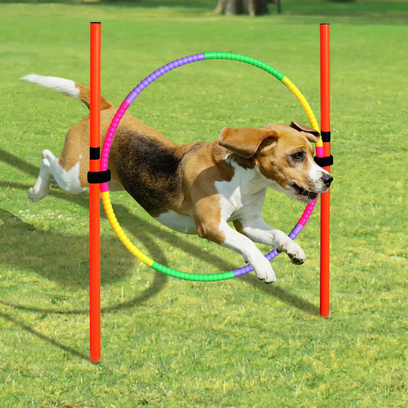 Dog Training Product Equipment Portable Dogs Jumping Tool Outdoor Dogs Running Stake Sports Stakes Pole Pet Agility Equipments