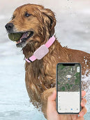 Gato gps gato colla proteção de segurança bateria de longa duração pet gato localização suprimentos para filhote de cachorro médio grande