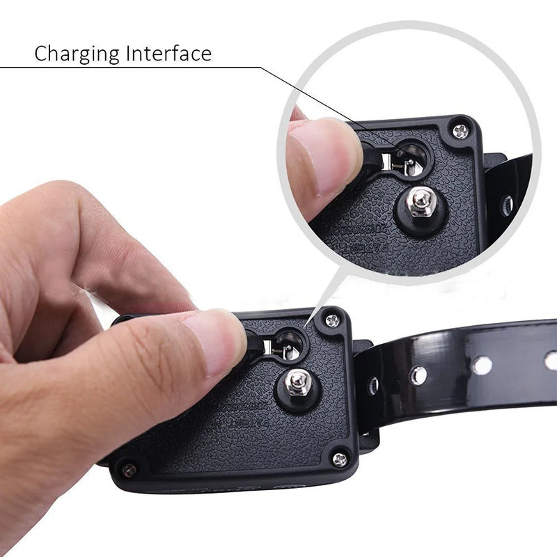 For 2 Dogs Complete Static Electric Dog Electric Dog Fence For Inground Fence